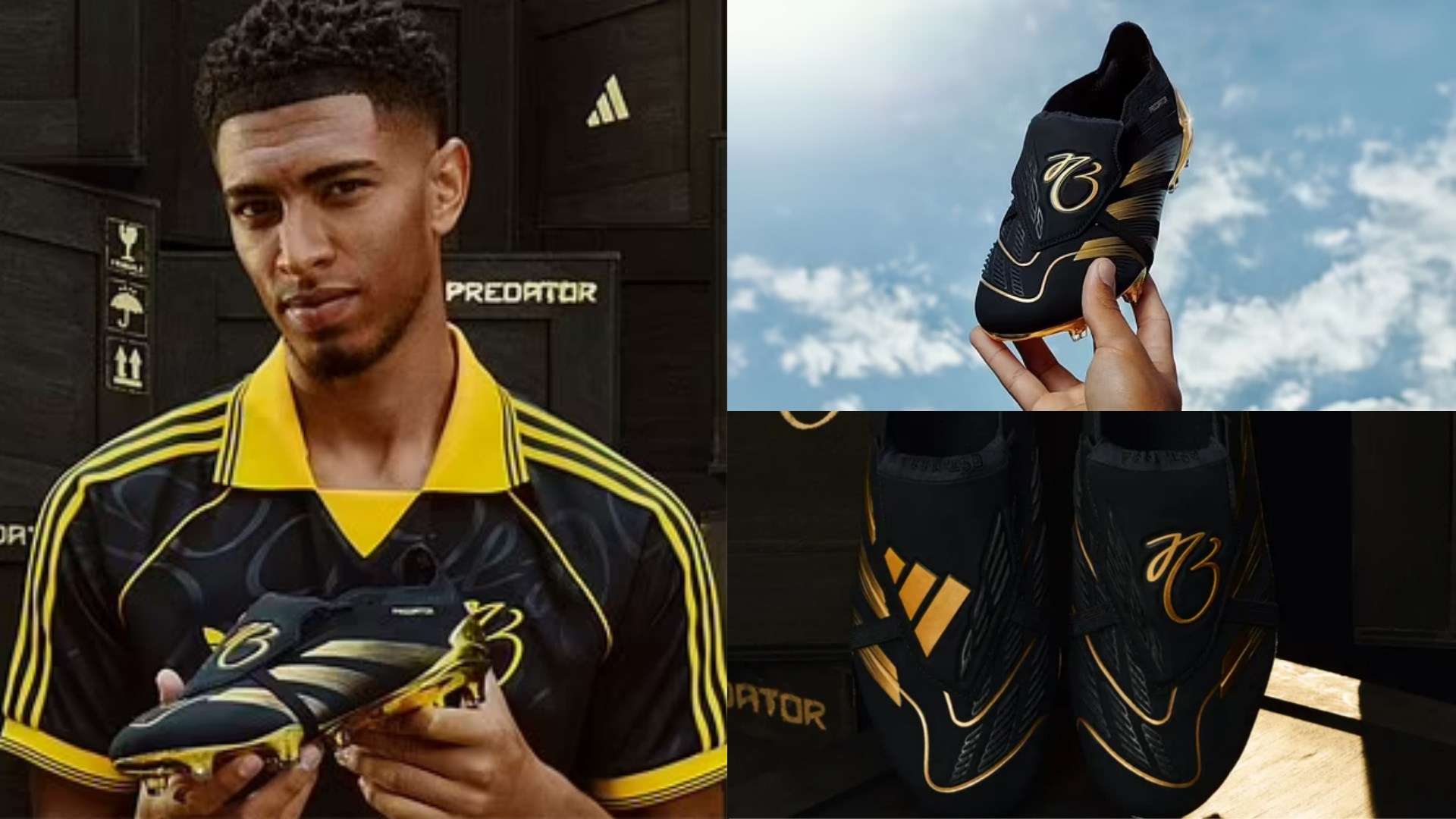 影坛发展的 影坛发展的