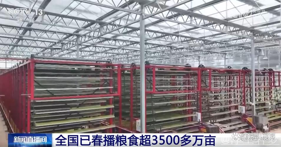 全国春播粮食面积已超3500万亩