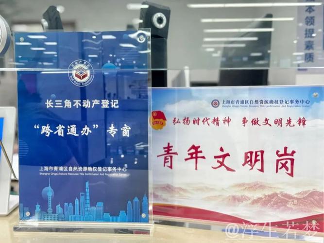 让群众少跑腿、让数据多跑路——不动产登记加快推动“跨省通办”